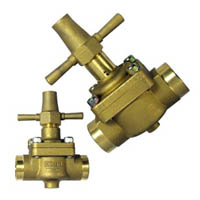 Globe Valve